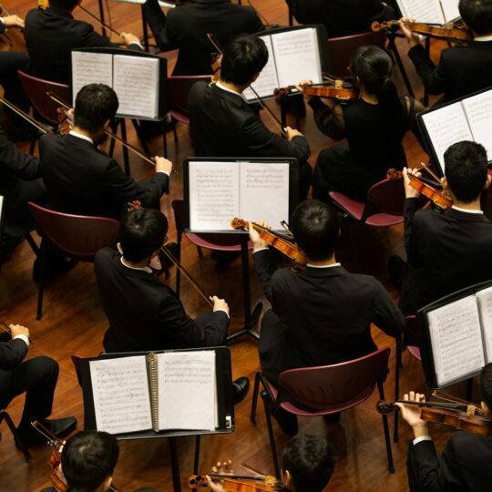 group of person playing violin