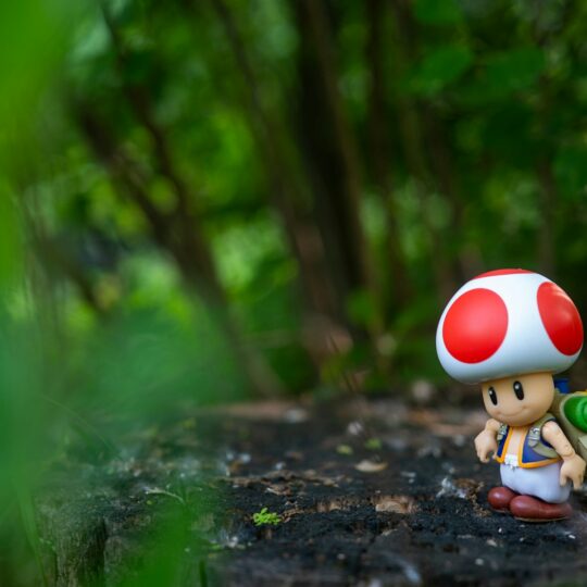 Toad figurine with backpack on tree stump in forest