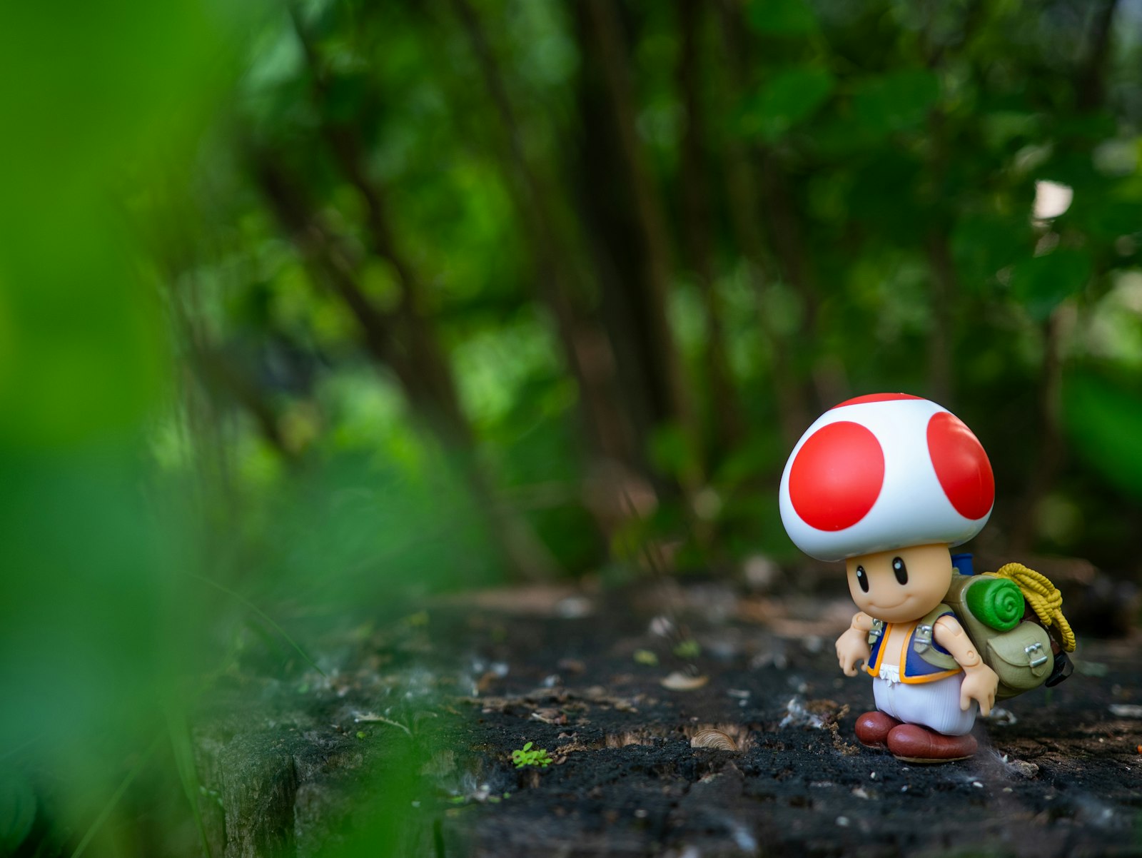 Toad figurine with backpack on tree stump in forest